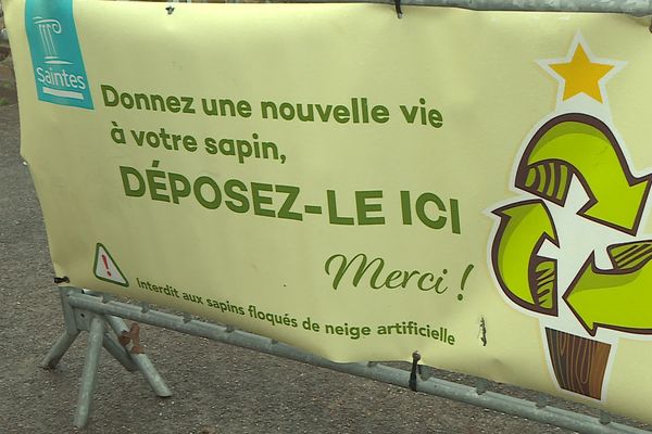 À Saintes, les sapins de Noël sont récupérés par la municipalités pour les transformés en copeaux de bois.