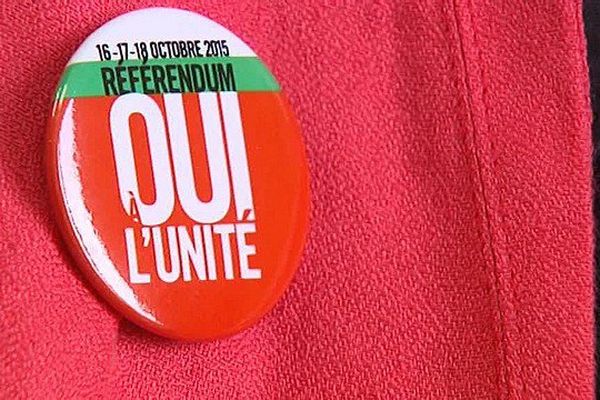 Le référendum organisé par le PS pour l'unité à gauche a rassemblé  251.327 votants en France 