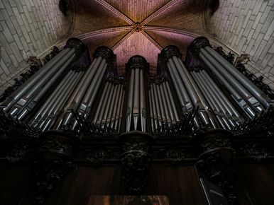 C'est une belle expérience» : les facteurs d'orgue de Lodève en