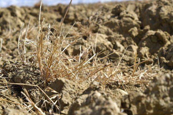 Dans le Cantal, de nouvelles restrictions de l'usage de l'eau entrent en vigueur ce mardi 29 septembre en raison de la sécheresse.