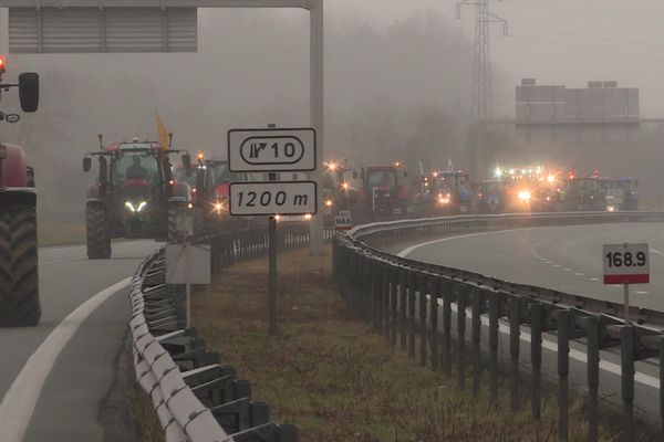 Les principaux syndicats agricoles français appellent à de nouvelles mobilisations à partir de lundi 18 novembre 2024.