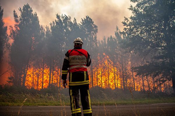 10.000 hectares de forêt sont déjà partis en fumée.