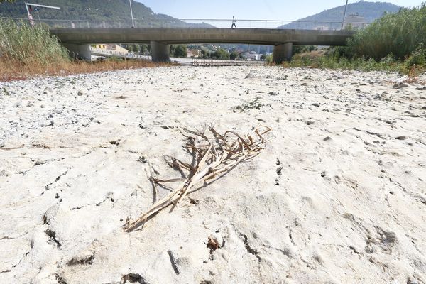 La sécheresse a touché les Alpes-Maritimes en 2017. 