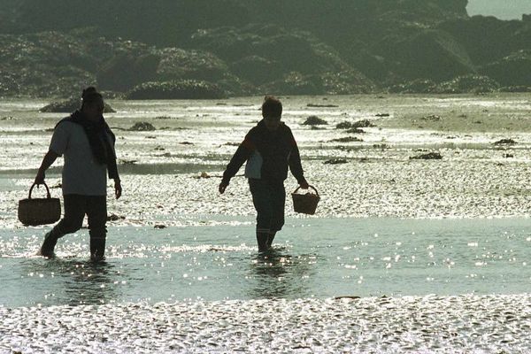 Pêche à pied dans l'Aber Wrac'h