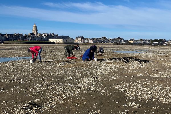 Les grandes marées, le bonheur des pêcheurs à pied. On arrive à aller dans  des coins qui sont plus inaccessibles habituellement