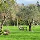 Les Jardins de mémoire, site cinéraire privé situé sur la route du Bono, à Pluneret (Morbihan), ont été créés en 1998