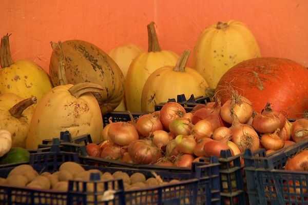 Oignons, courges spaghettis, pommes de terre... proposés gratuitement aux familles en difficulté à Tôtes (76) (image extraite d'une vidéo)