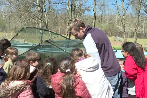 Le temps d'une journée, des enfants ont pu profiter d'une initiation à la pisciculture au lycée agricole d’Ahun en Creuse.