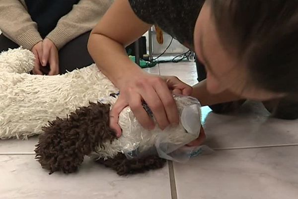 Pendant la formation, les participants ont appris la technique du bouche à truffe.