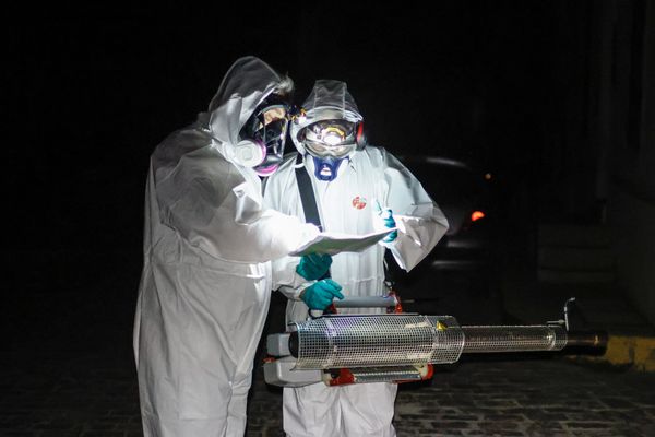 Une opération de démoustication est prévue dans la nuit du 2 au 3 octobre 2024 pour endiguer la propagation de la dengue dans le quartier de Breil Malville à Nantes