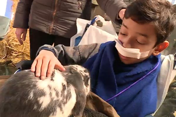 Les enfants ont pu rencontrer les animaux de la ferme directement à l'hôpital.