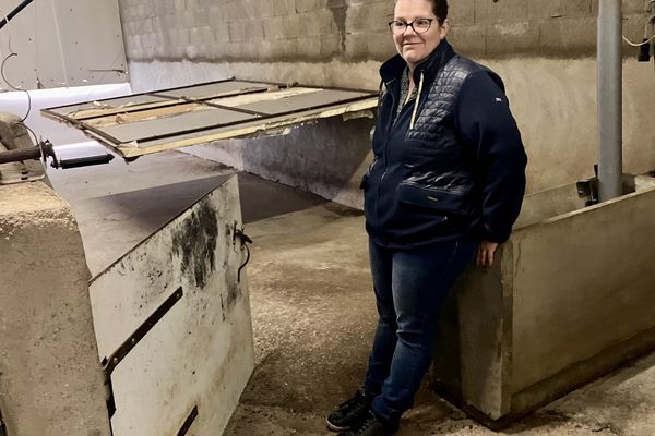 Bérengère Gaillard pose dans le bâtiment post-sevrage de son élevage de porcs à Sanxay (Vienne), le 25 septembre 2024.