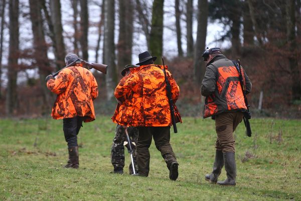 Un groupe de chasseurs marche dans la clairière de la forêt communale de Bendorf (Haut-Rhin).