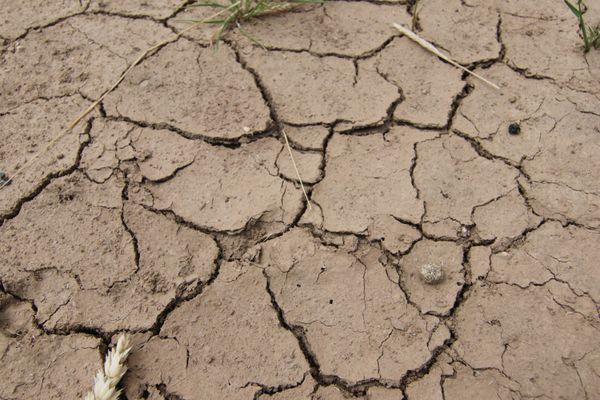 90 % de la surface des Hauts-de-France est argileux et donc sensible aux changements brutaux de température.