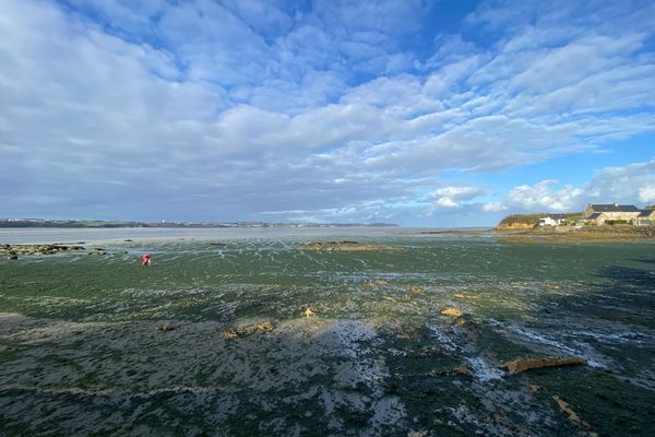 La plage de Hillion (22) fermée depuis six mois au public en raison des algues vertes