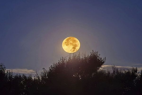 La super lune des moissons au-dessus de la Méditerranée, à Marseillan, dans l'Hérault - 18 septembre 2024.