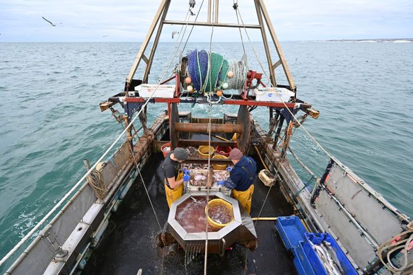 Au port de Boulogne, sur une flotte de 112 bateaux de pêche, une vingtaine seulement a l'autorisation de naviguer dans les eaux britanniques