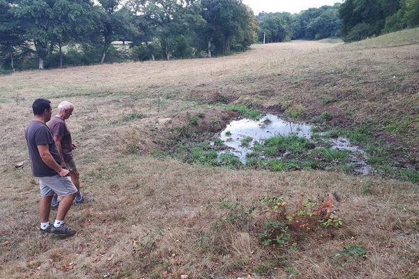 Il ne reste que quelques litres d'eau au fond de la mare comme dans de nombreuses exploitations agricoles dans l'Allier.