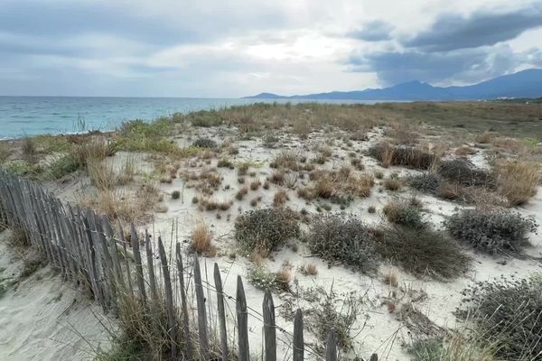 La Réserve du Mas Larrieu à Argeleès-sur-mer, un site naturel protégé de 176 hectares