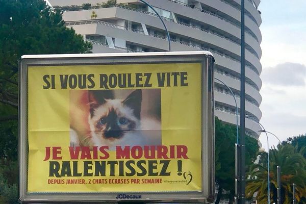 Campagne de sécurité routière originale à Villeneuve-Loubet