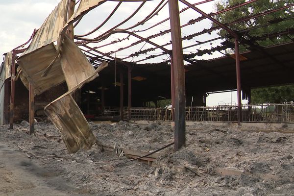 Dans la nuit du 7 au 8 août 2021, un bâtiment agricole de la ferme de Jean-Philippe Delhomme à Nanteuil a été détruit par les flammes. 23 Bovins ont péri dans l'incendie.