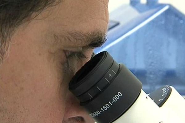 Alain Buisson, enseignant-chercheur au Grenoble Institut Neurosciences.