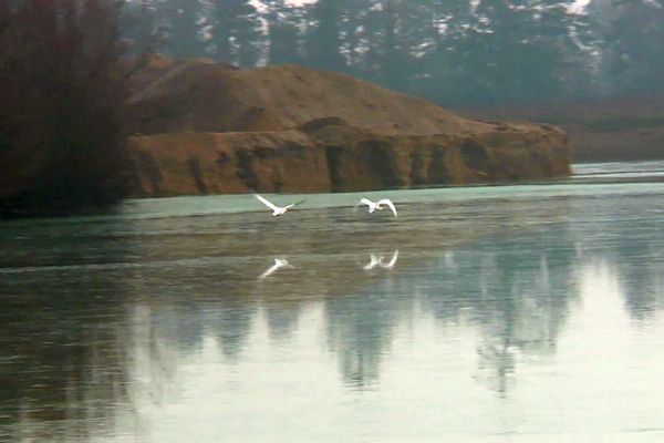 Une ancienne gravière de Rouvres-en-Plaine, en Côte-d’Or, est devenue un site d'observation de la LPO (Ligue pour la Protection des Oiseaux).