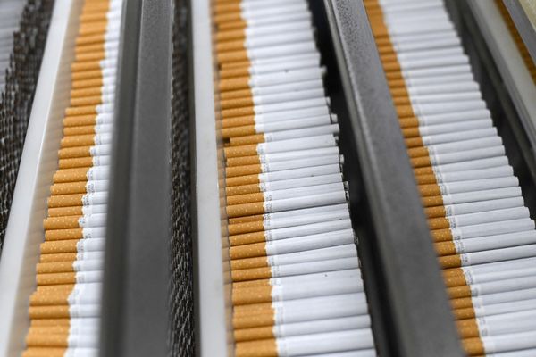 au total, plus de 7200 tonnes de cigarettes contrefaites ont été saisies