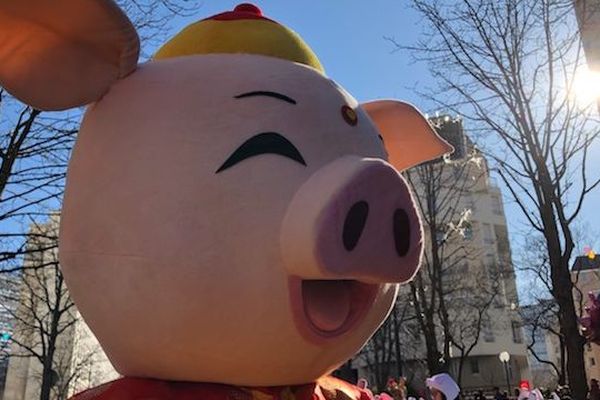 L'année 2019 est celle du Cochon de terre dans le calendrier chinois.