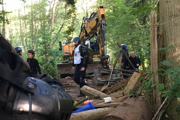 Le 10 septembre 2018, un bulldozer faisait tomber les arbres dans la forêt de Kolbsheim. Une date anniversaire qui marque depuis deux ans l'ouverture du festival 10 jours VERT le futur. 