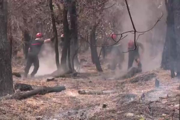 Dans le secteur de Landiras et d'Hostens, le feu est fixé depuis 14 août mais des souches sont encore fumantes, et le feu couve dans la terre, cela s'appelle des feux zombies.