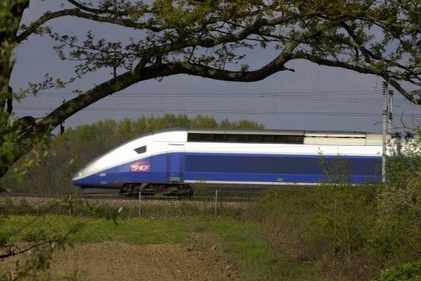 Un TGV photographié près de Villefranche-sur-Saône, sur la ligne Rhône-Alpes.