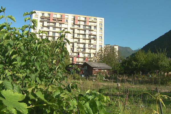 Les jardins partagés de la Buisserate s'étendent pour l'instant sur près de 5000 m2