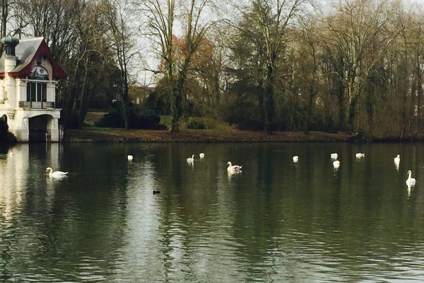 Les bords du Loiret à Olivet