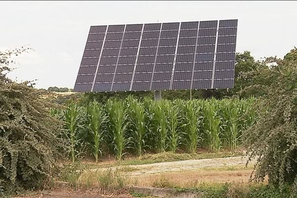 Les trackers de la société Okwind suivent le soleil pour capter un maximum d'énergie solaire