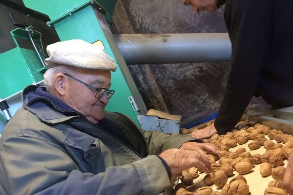 La récolte des noix avait été retardée cette année