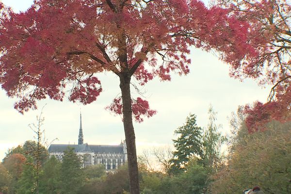 Le parc Saint-Pierre, à Amiens, aux couleurs de l'automne