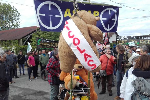 Les éleveurs et anti ours de tout le massif Pyrénéen se sont rendus à Pau (64) en bus.