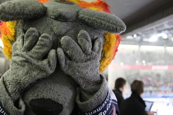 Jeff, la mascotte des Brûleurs de Loups, ne s'en remet pas! Les BDL ratent leur objectif de la saison et n'accrochent pas le Top 4 après s'être inclinés face à Villard-de-Lans