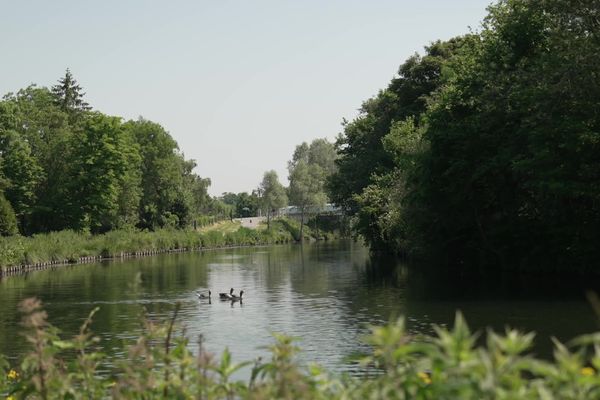 Le chemin d'hallage, le long de la Somme, à Amiens.