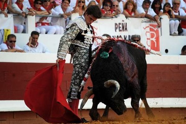 Avec son premier toro d'El Pilar, El Juli a séduit le grand publlic.