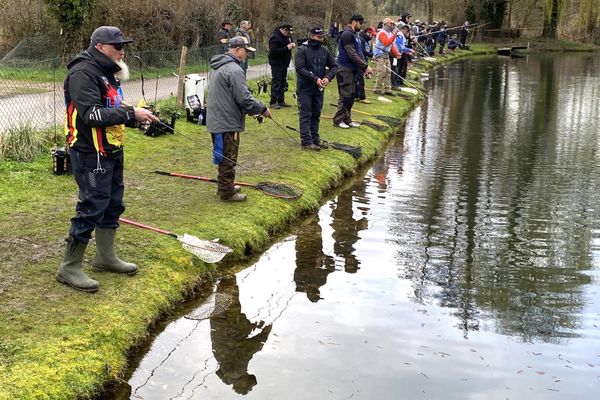 3 000 truites ont été lâchées dans l'étang de Bosrobert, dans l'Eure, pour l'occasion.