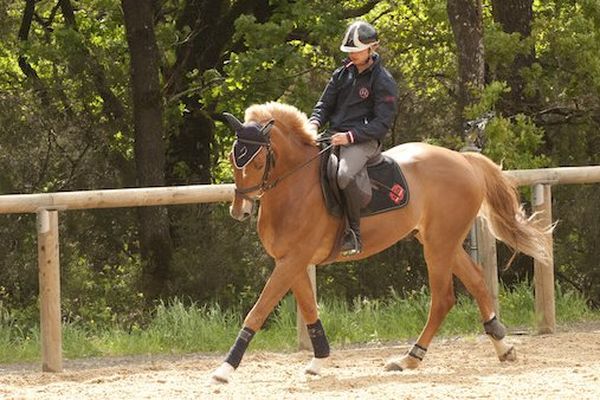 Pierre Touzaint et Scapin, en lice pour le Lion D'Angers, étape du Grand National