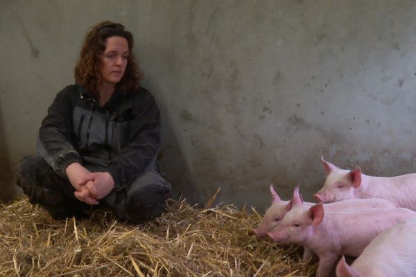 Sarah Boutreux éleveuse de porcs bio à Mouais en Loire-Atlantique.