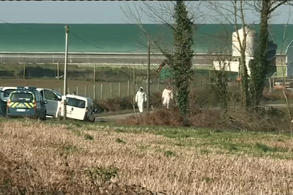 Les services sanitaires déployés sur des élevages du Morbihan après la détection de foyer du virus Influenza aviaire