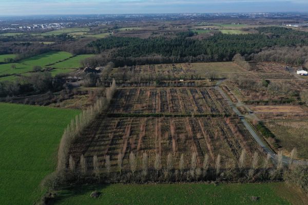 le site de la future prison est situé à quelques kilométres d'Angers sur une zone de 50 000 métres carrés.