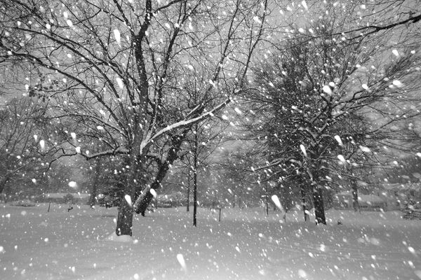 Flocons - Tombe la neige