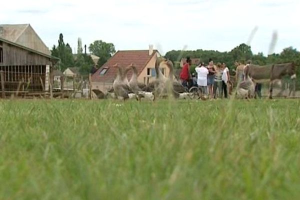 Âne, oie ou encore biche, les visiteurs peuvent passer du temps avec les animaux de la ferme. 