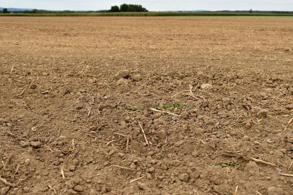 En Haute-Loire, de nouvelles restrictions de l'usage de l'eau liées à la sécheresse ont été mises en place par la préfecture ce jeudi 17 septembre.