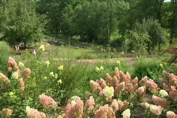 500 variétés de fleurs et arbustes ont été plantées
